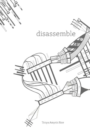 Disassemble