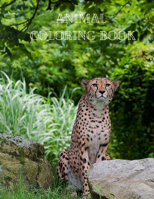 Animal Coloring Book: Actvity Coloring Pages for Kids