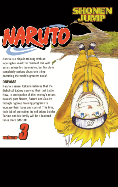 Naruto, Vol. 3: Dreams