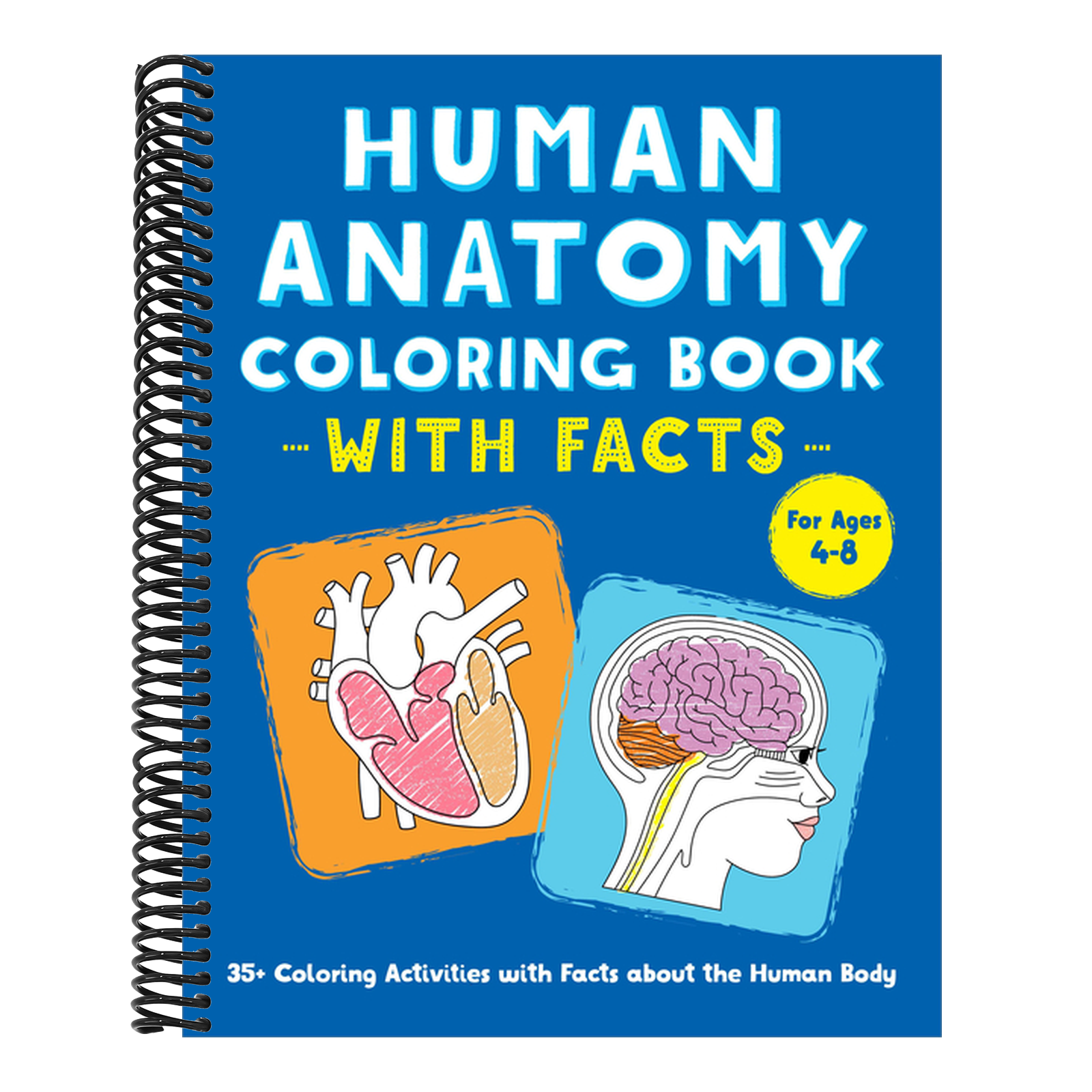 Human Anatomy Coloring Book with Facts: 35+ Coloring Activities with Facts about the Human Body