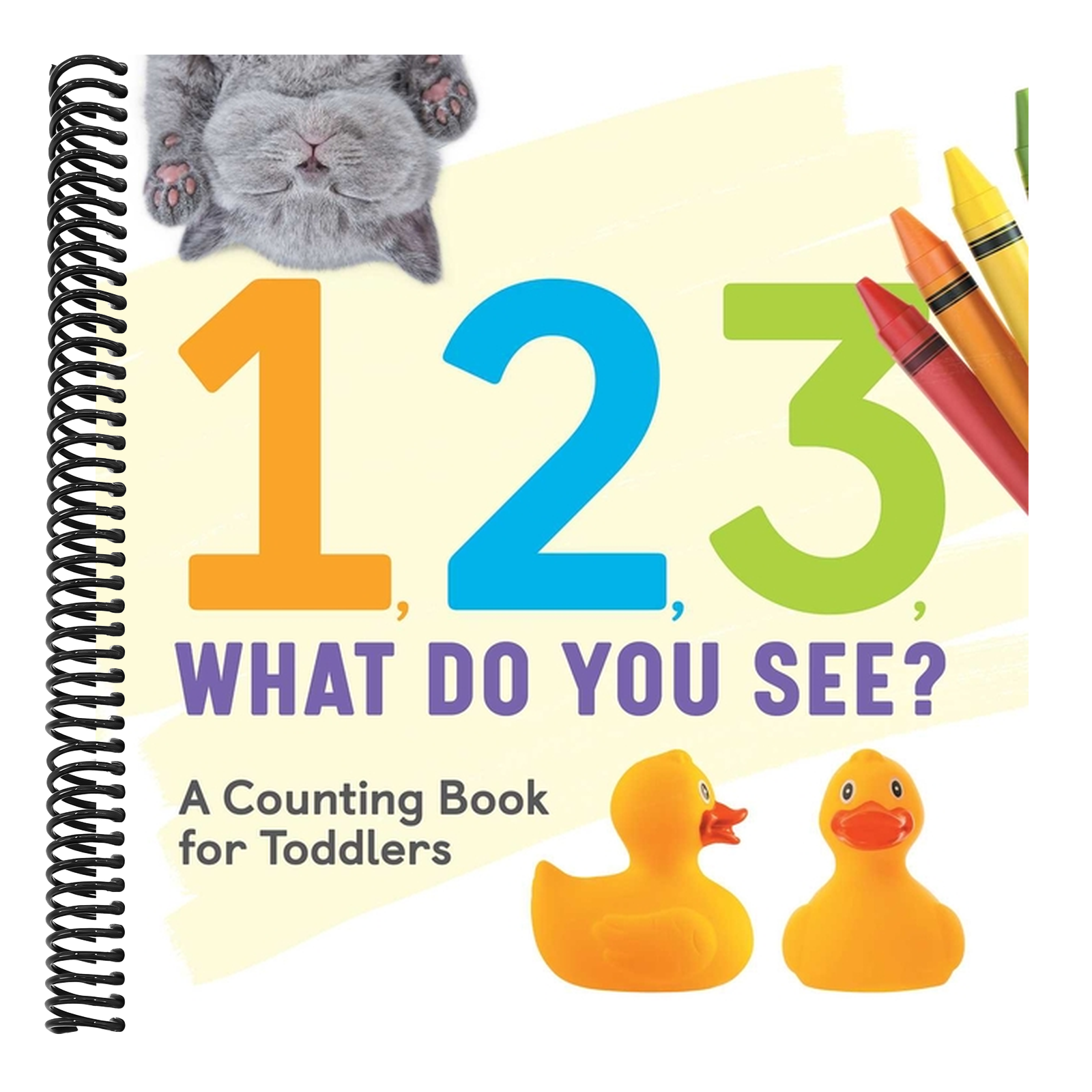 1, 2, 3, What Do You See?: A Counting Book for Toddlers