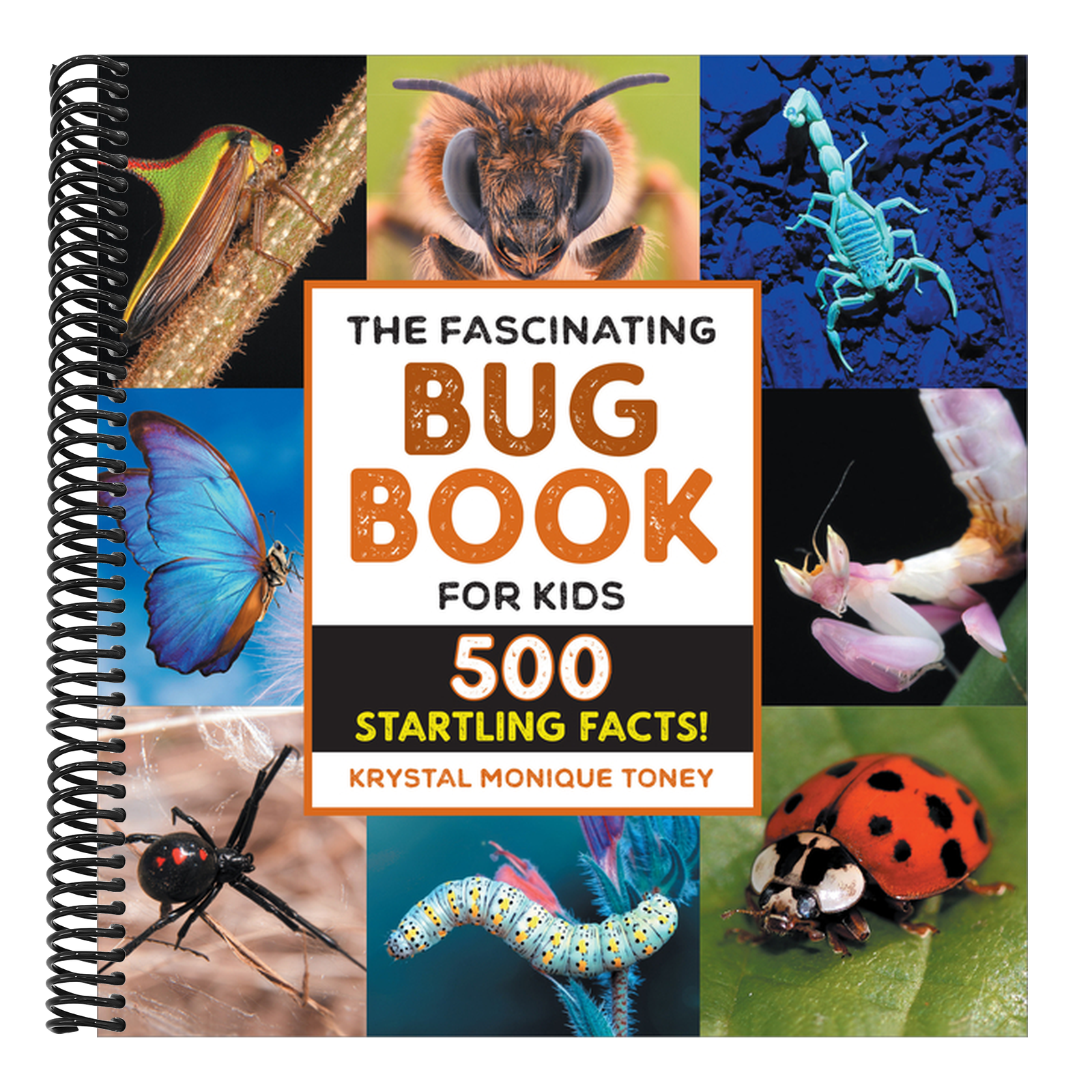 The Fascinating Bug Book for Kids: 500 Startling Facts!