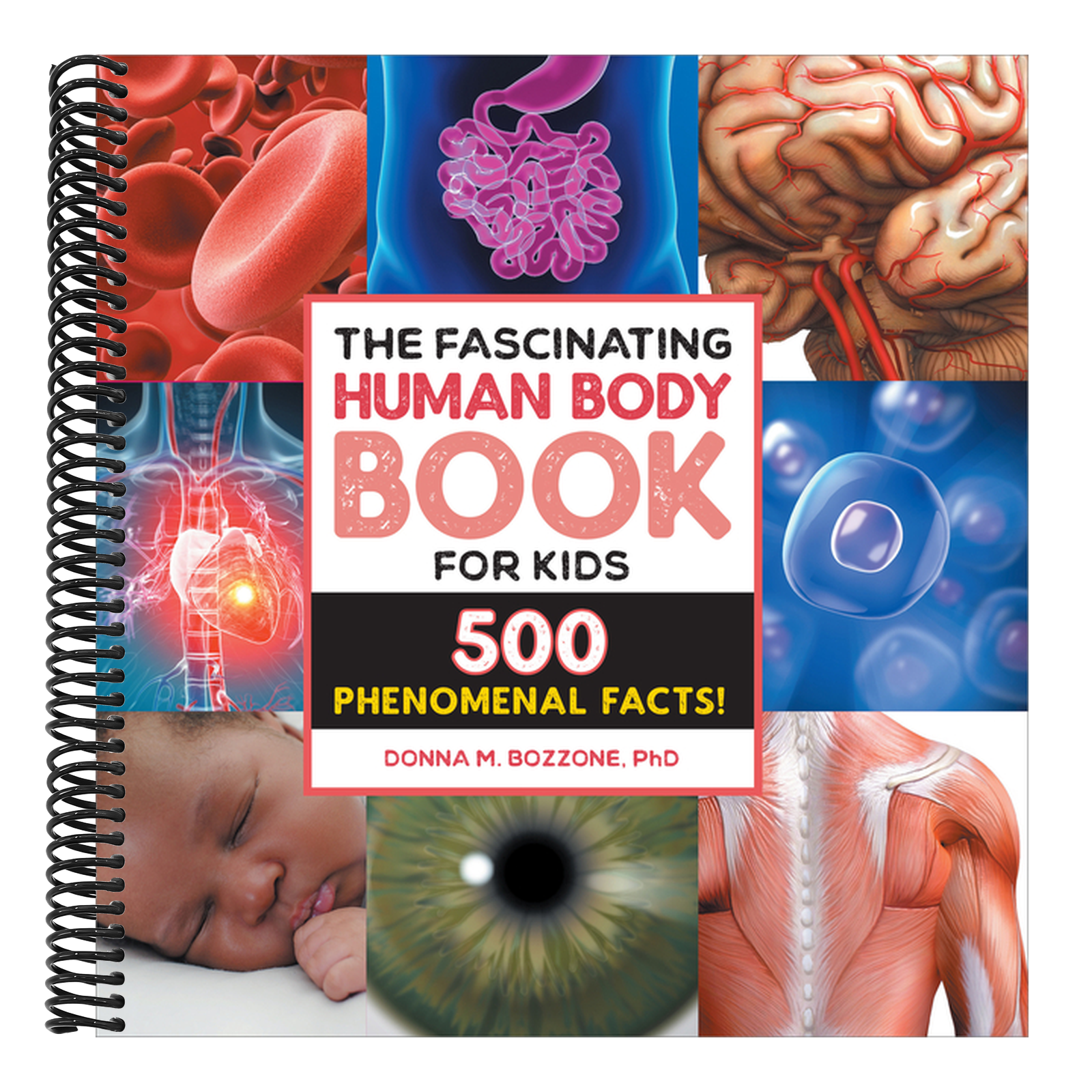 The Fascinating Human Body Book for Kids: 500 Phenomenal Facts!