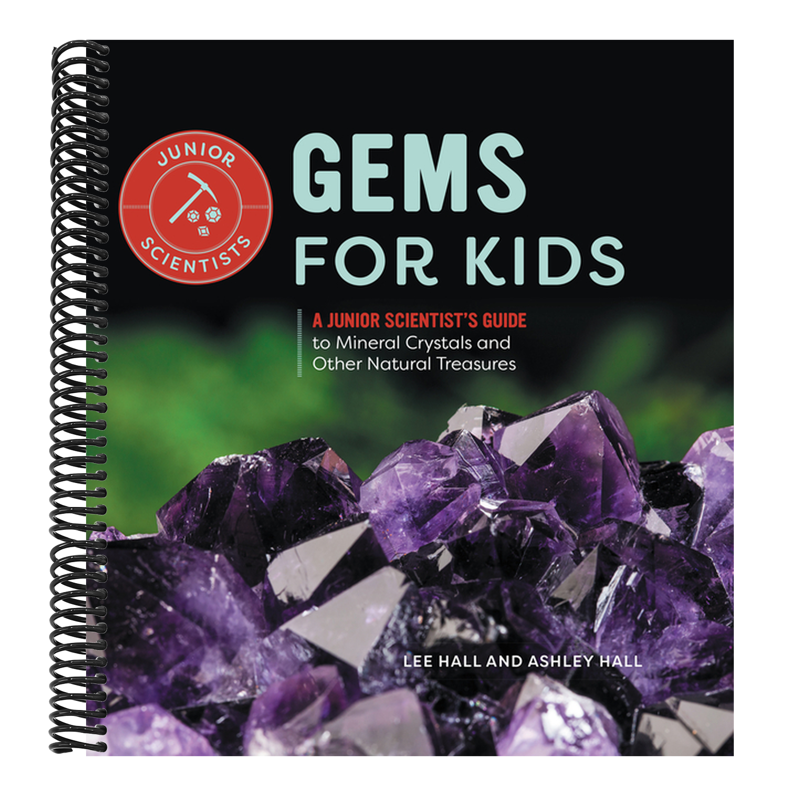 Gems for Kids: A Junior Scientist's Guide to Mineral Crystals and Other Natural Treasures
