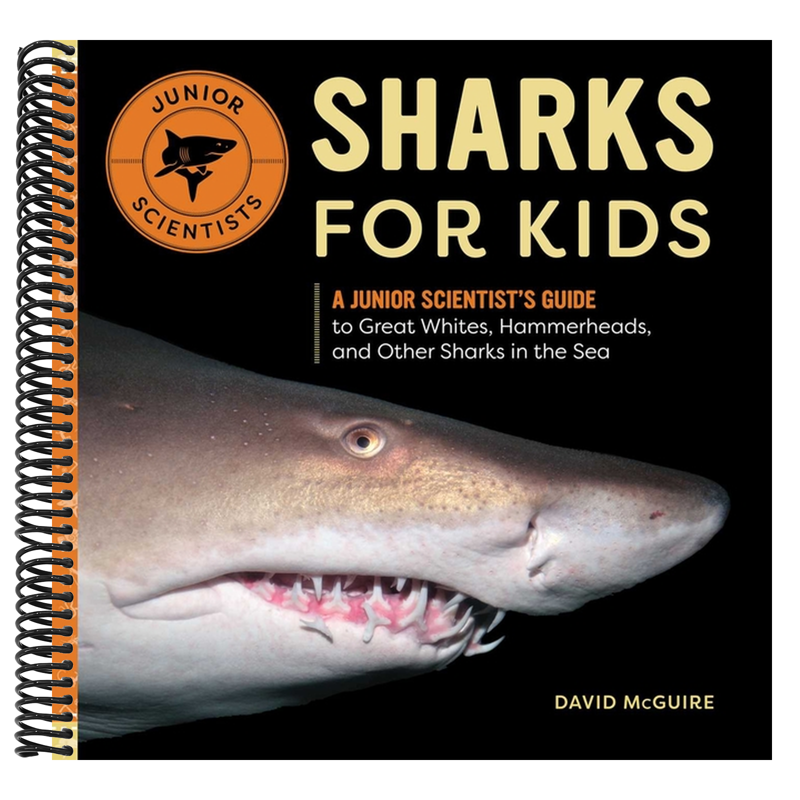 Sharks for Kids: A Junior Scientist's Guide to Great Whites, Hammerheads, and Other Sharks in the Sea