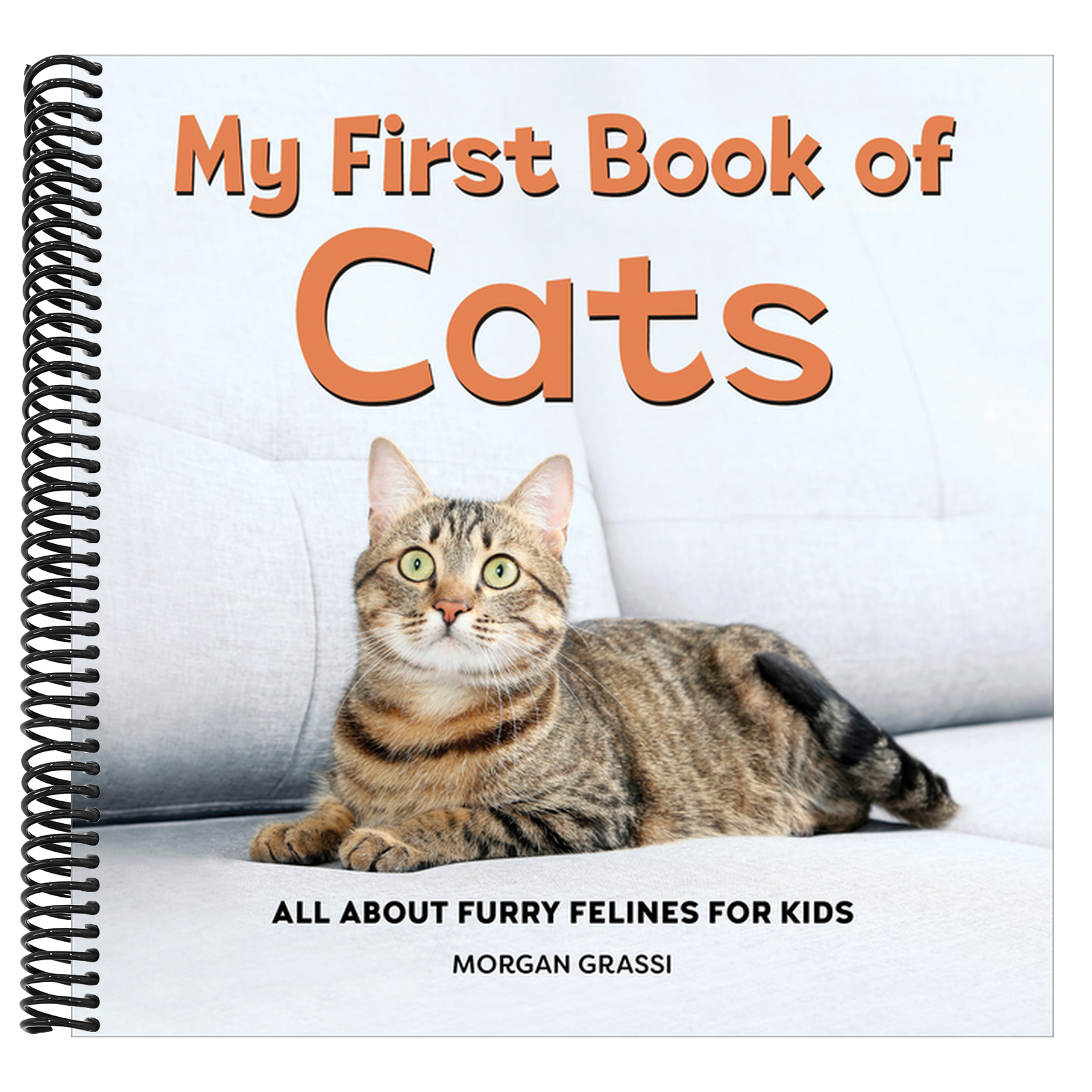 My First Book of Cats: All about Furry Felines for Kids