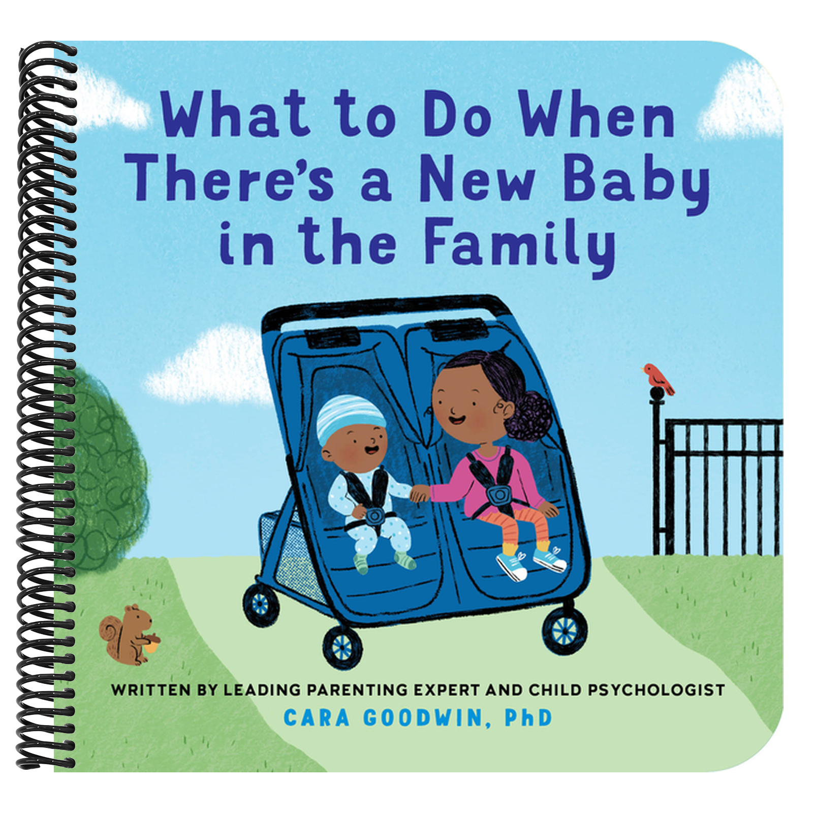 What to Do When There's a New Baby in the Family